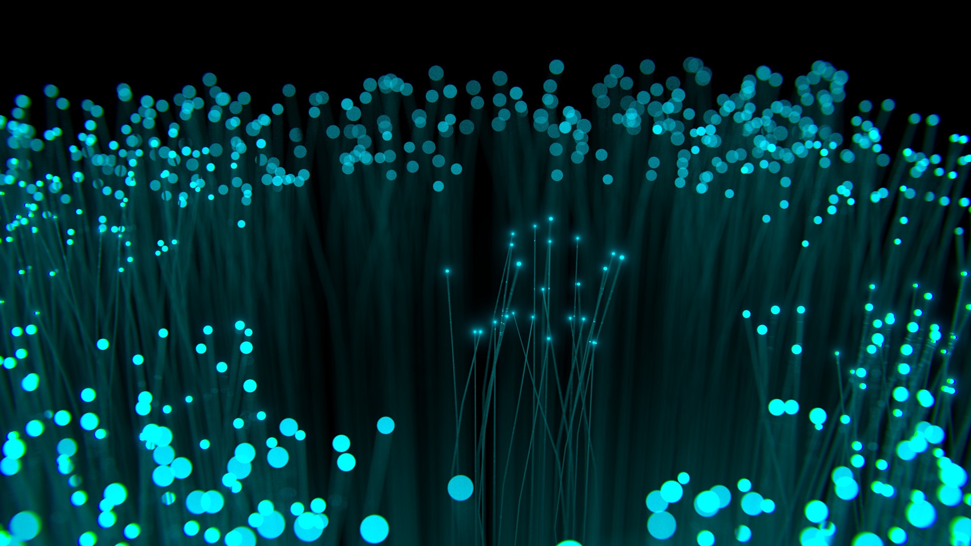 fibra ottica fibra ottica